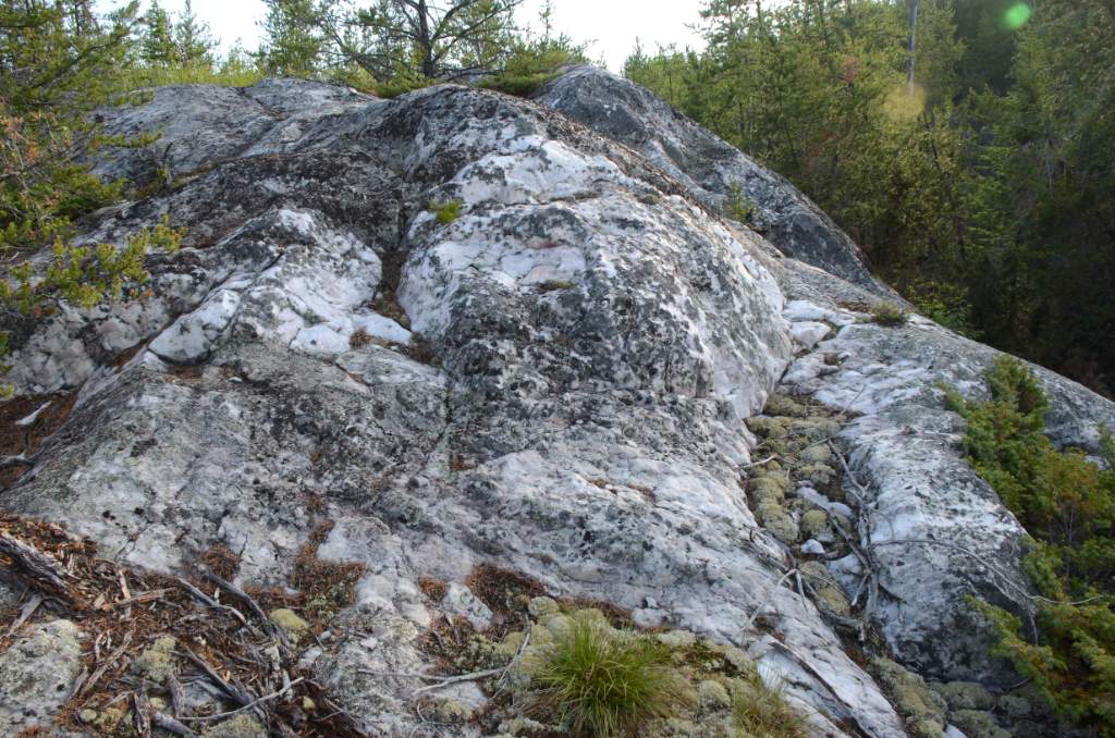 700_5615.jpg - White rock