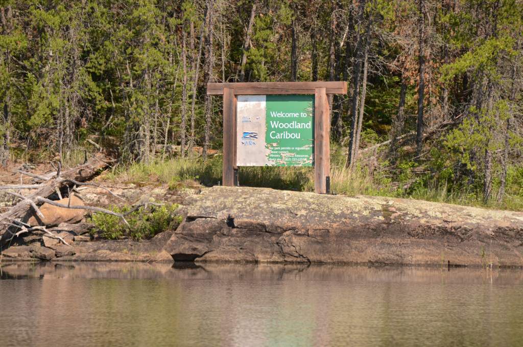 700_5642.jpg - Bird River Entry Point