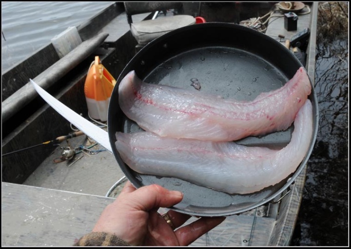 fillet.jpg