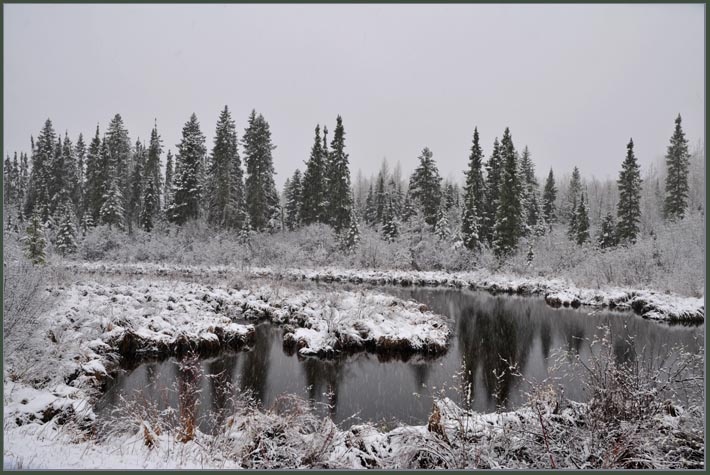 portage_pond.jpg