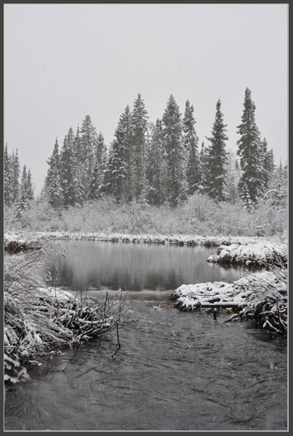 portage_pond2.jpg