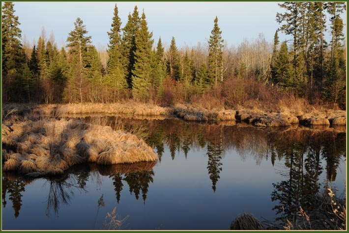 portage_pond_sun.jpg