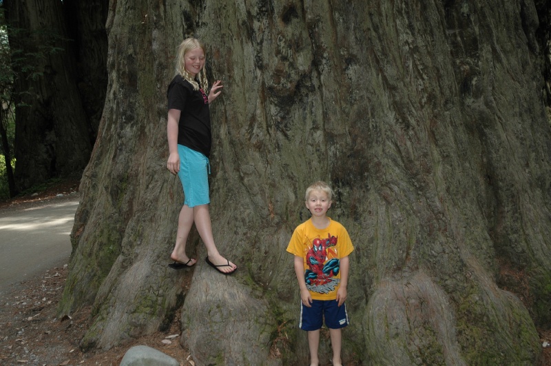 DSC_7847.JPG - Brianna and Erik at the base of a Redwood