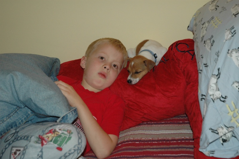 DSC_8961.JPG - Erik and Taser (Melissa's puppy) - Labor Day weekend