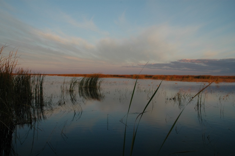 DSC_9023.JPG - Pool 2 - Roseau River WMA