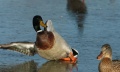 slider2_1600