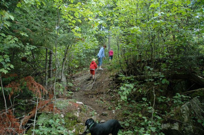 camping006.jpg