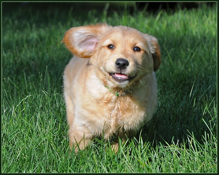 koop15.jpg - I like to run