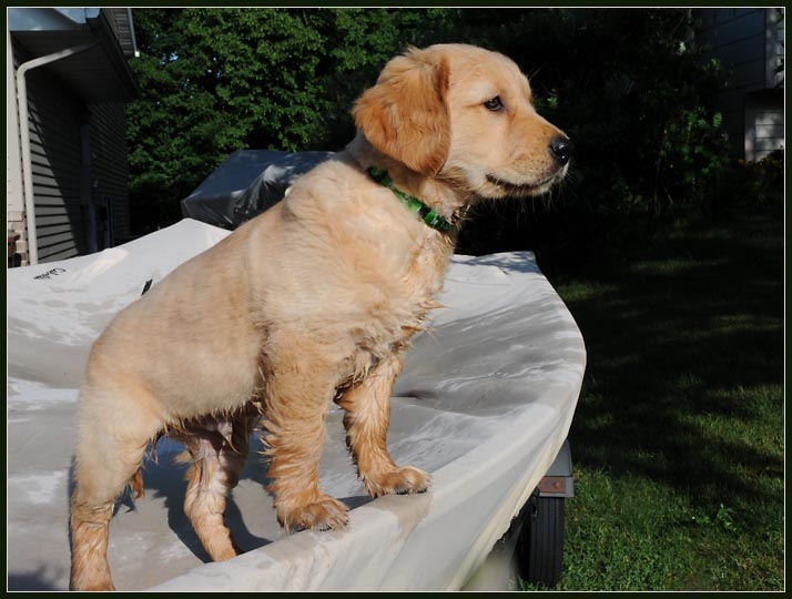 koop8.jpg - Checkin out the front seat on the boat