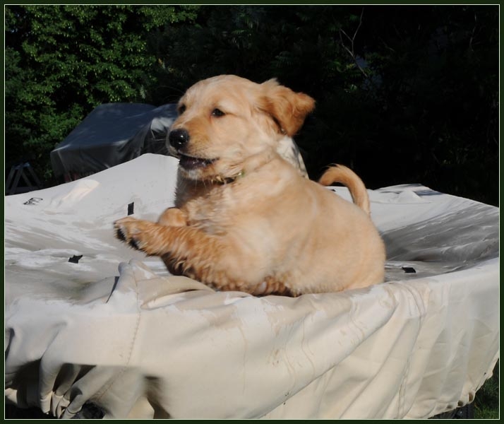koop9.jpg - Playing in the boat