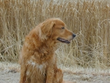 DSCN0050