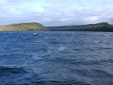 DSCN0235