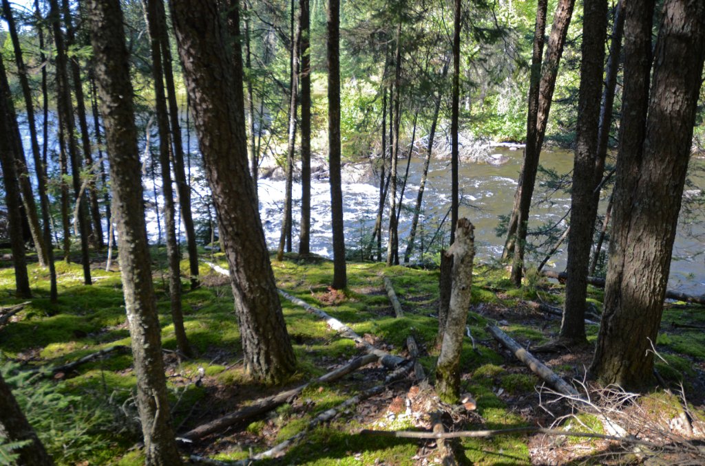 700_5924.jpg - Taking a break on the portage