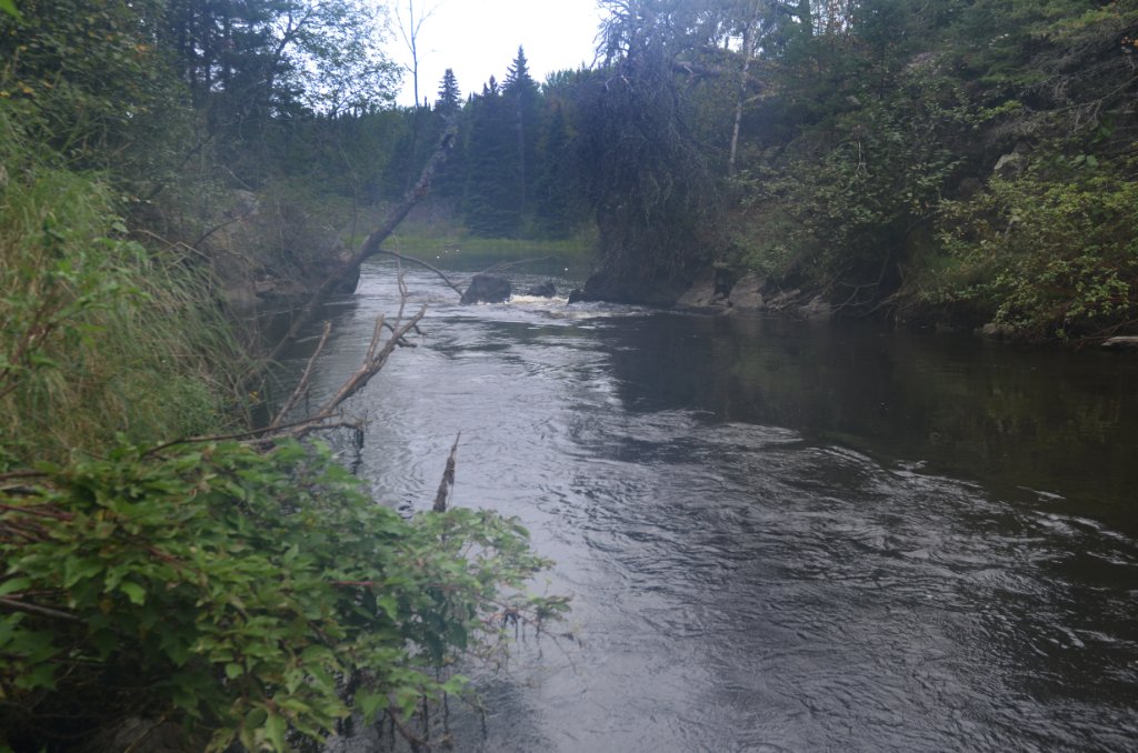 700_5938.jpg - Backing out