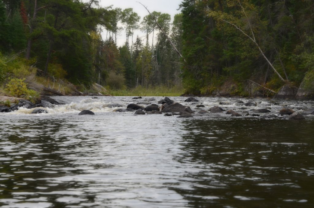 700_5949.jpg - Rock Garden Obstacles