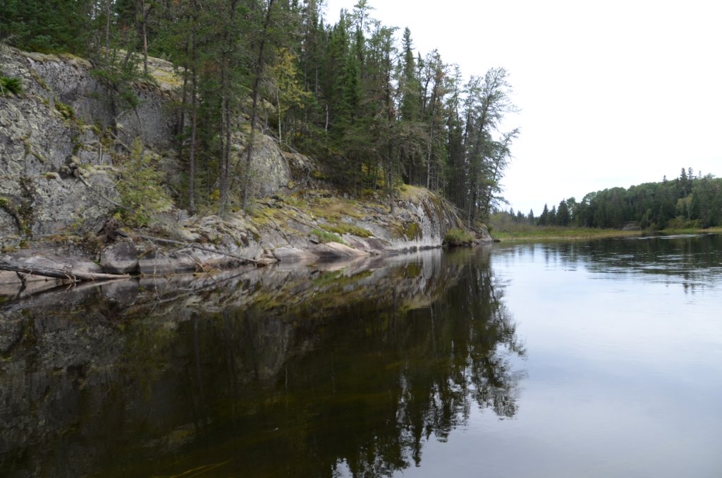 700_5956.jpg - The shorelibe