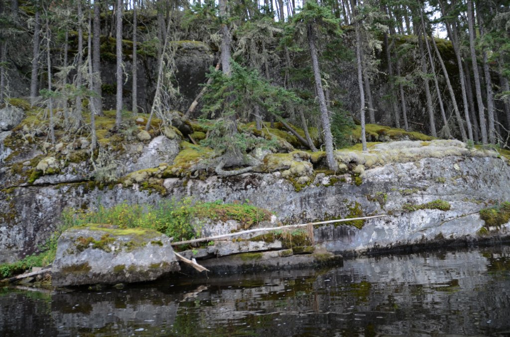 700_5965.jpg - Moss gardens