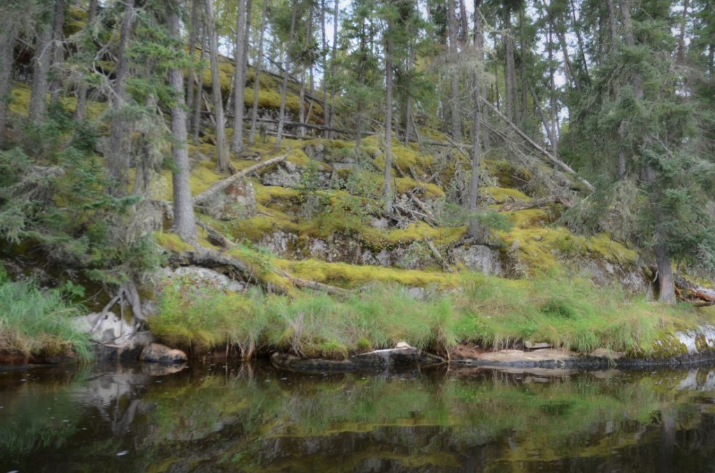 700_5967.jpg - Endless beauty