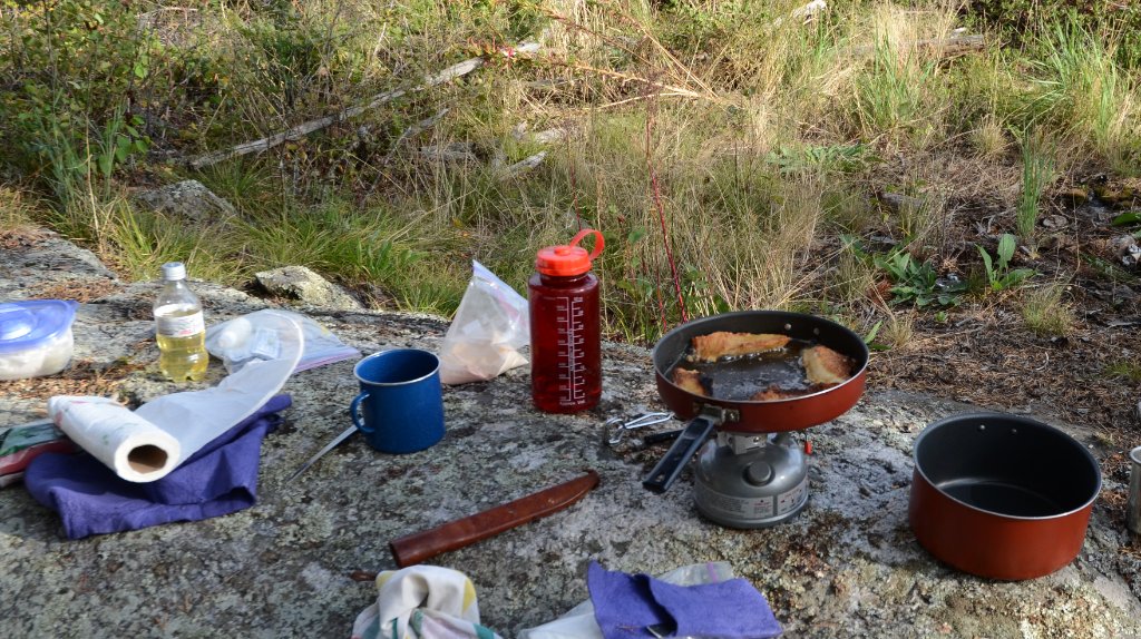700_5981.jpg - Frying Fish