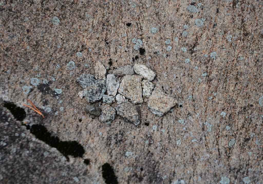 700_6106.jpg - Little rocks on the big rock