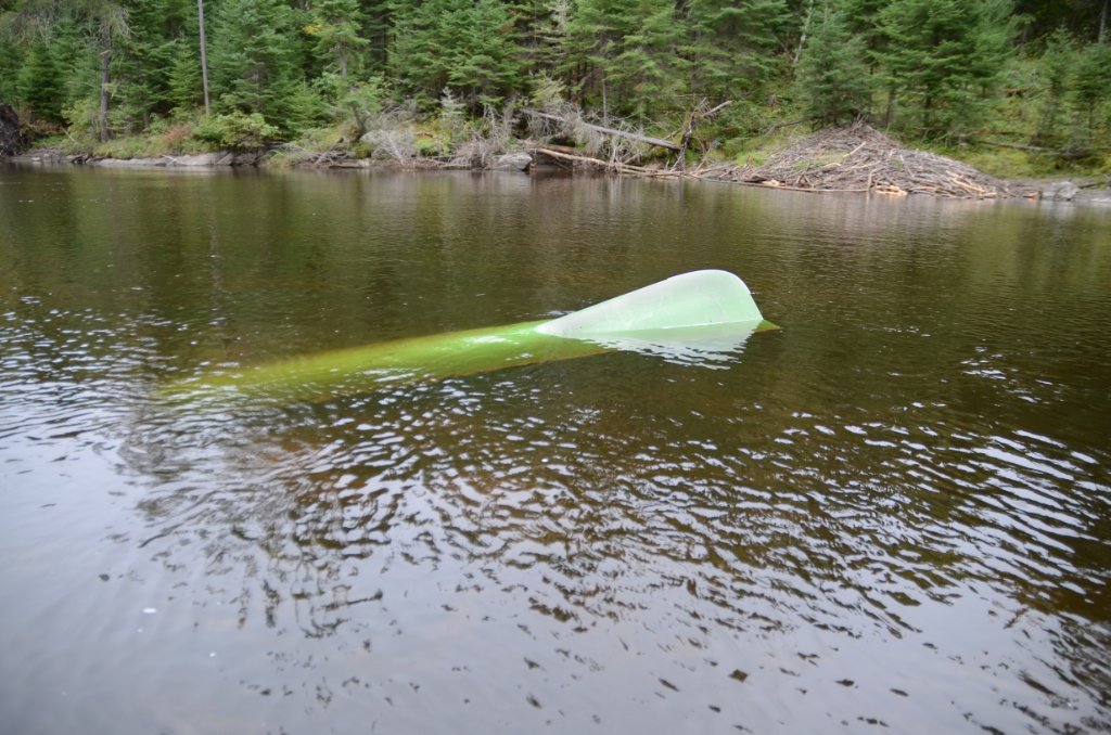 700_6203.jpg - Glad that was not me