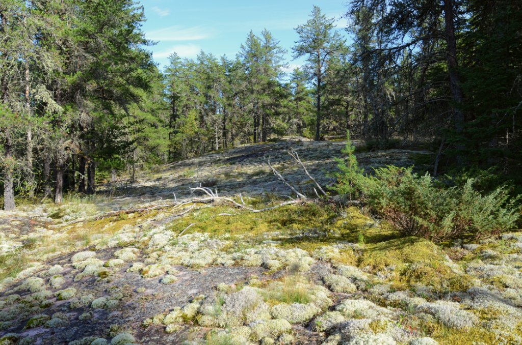 700_6273.jpg - The ridge above the campsite