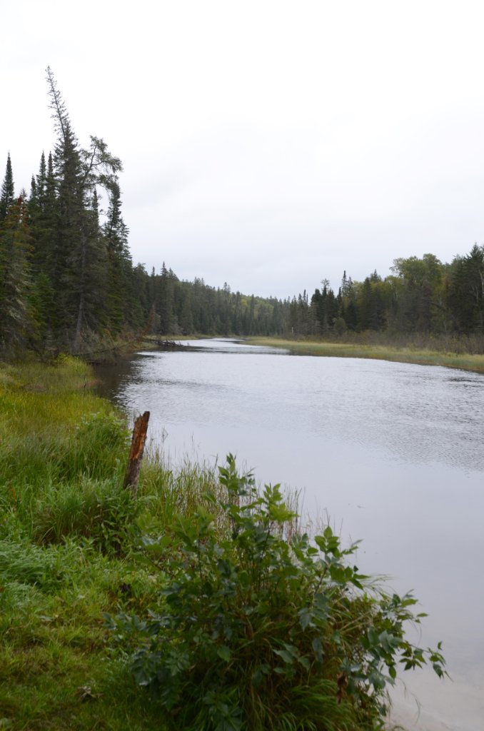 700_6361.jpg - Home stretch