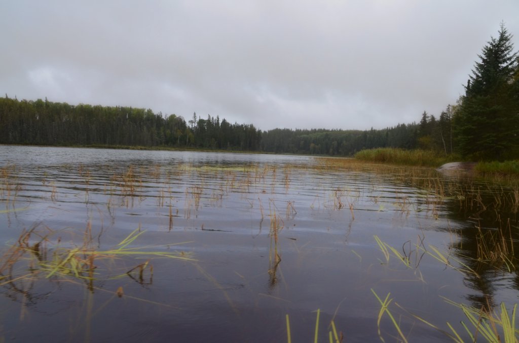 700_6377.jpg - Overcast and cool