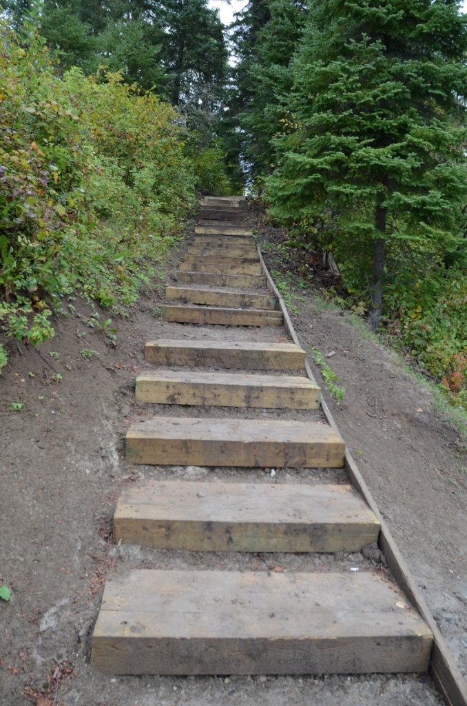 700_6390.jpg - New steps (muddy and very slippery)