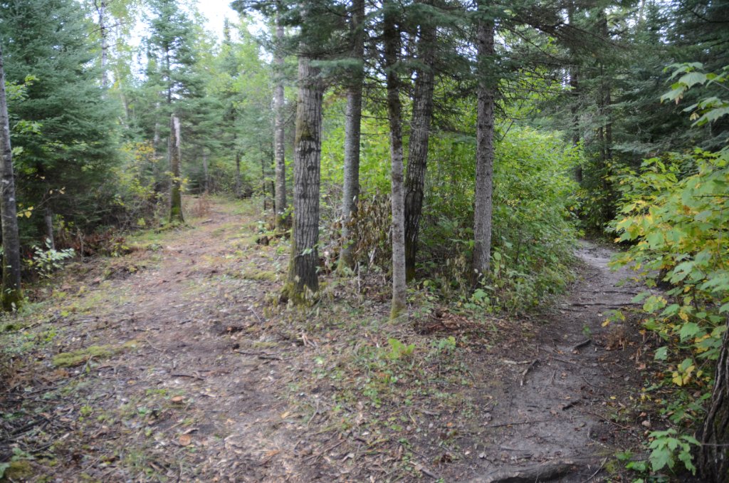 700_6394.jpg - Which path...the old or the new?