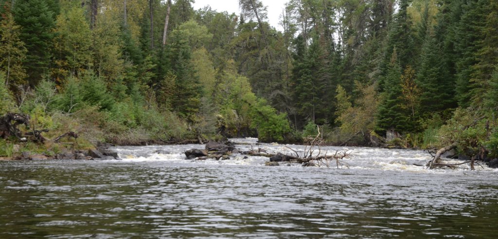 700_6399.jpg - last little obstacle