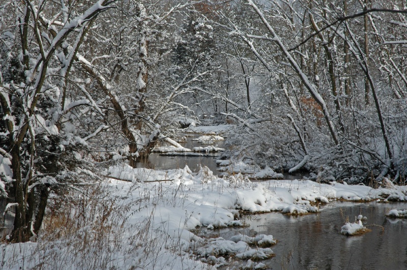 DSC_0107.jpg - Eagle creek (savage, MN)